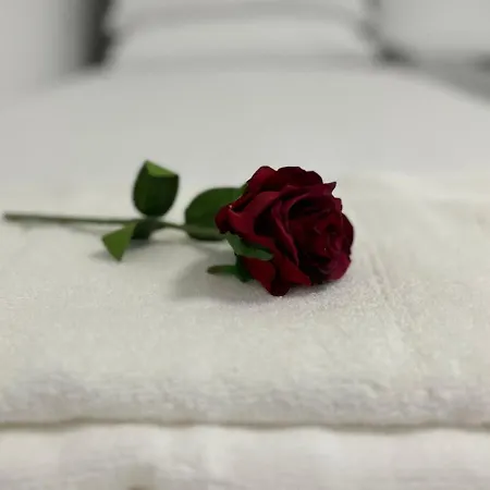 Messe Hv-2 Apartamento *