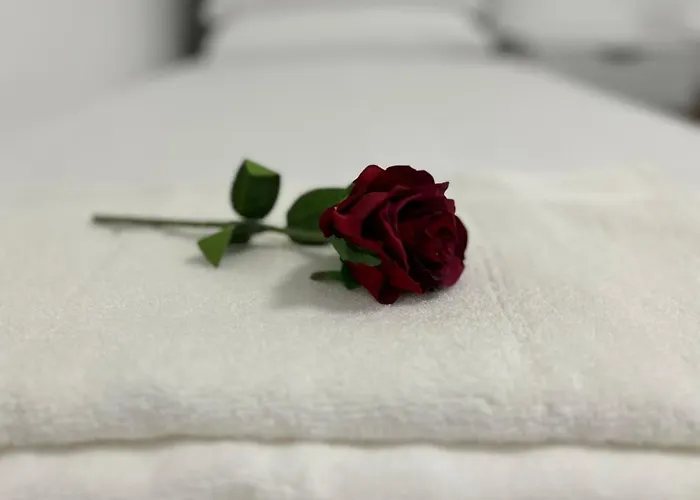 Messe Hv-2 Апартаменты *